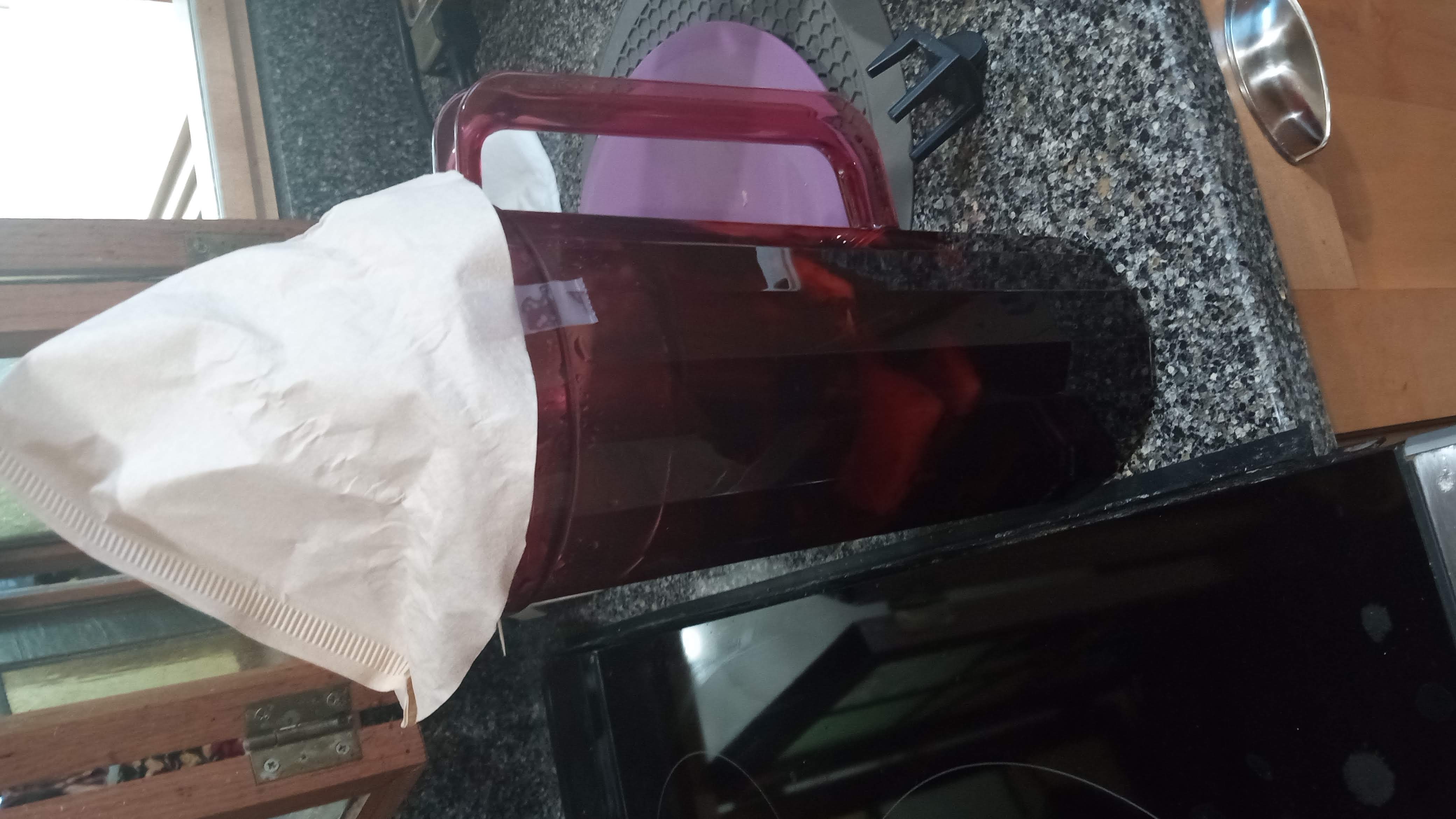 finished tepache